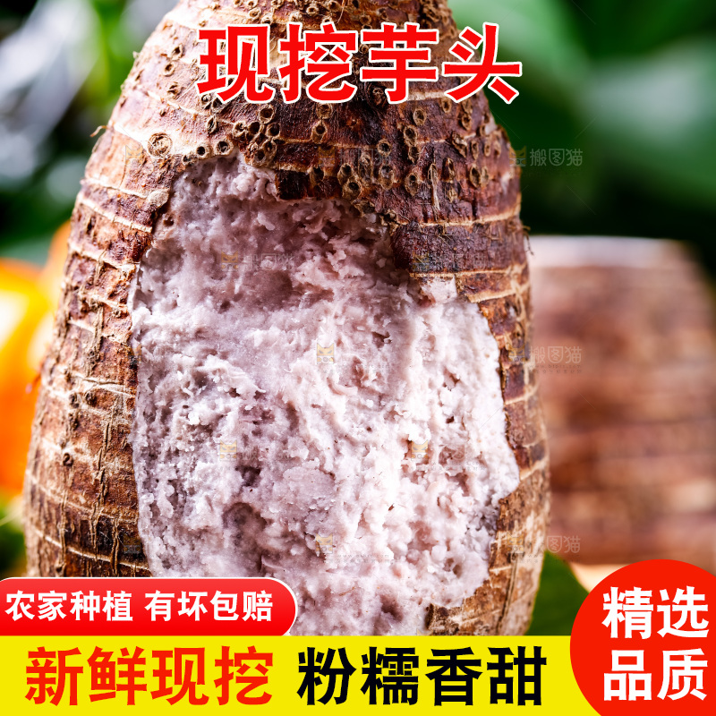 篮子上放着一个大芋头