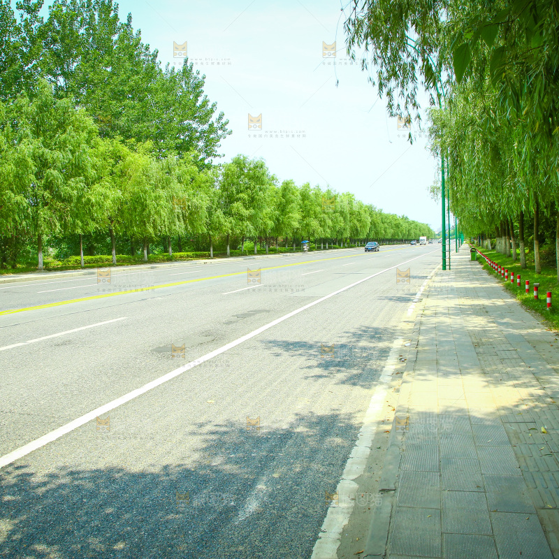 机动车道路
