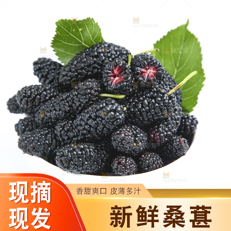 白底上放着一大盘桑葚