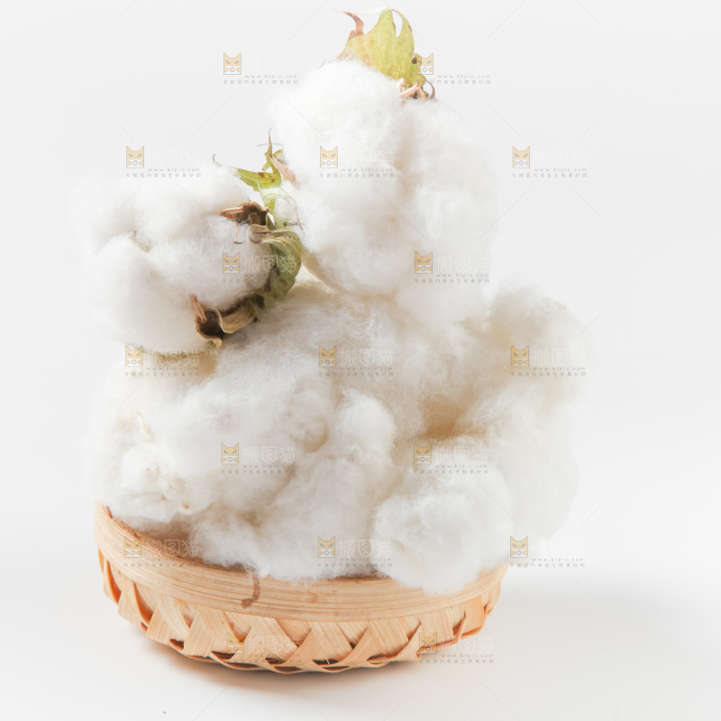 篮子里装着新疆棉花