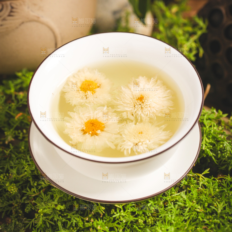 一杯杭白菊菊花茶