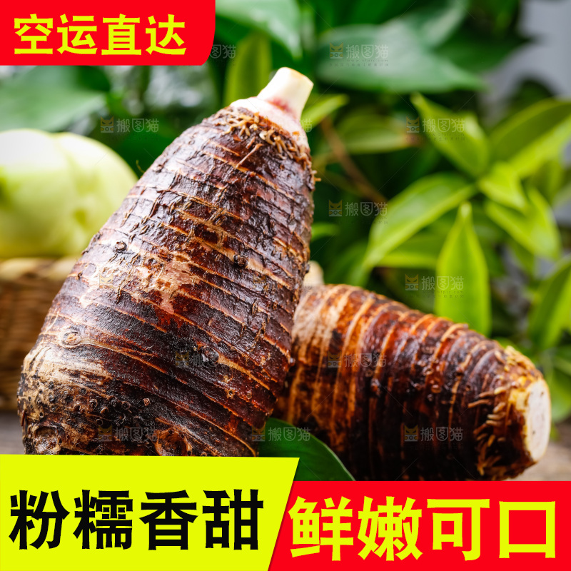 木底上放着广西荔浦芋头