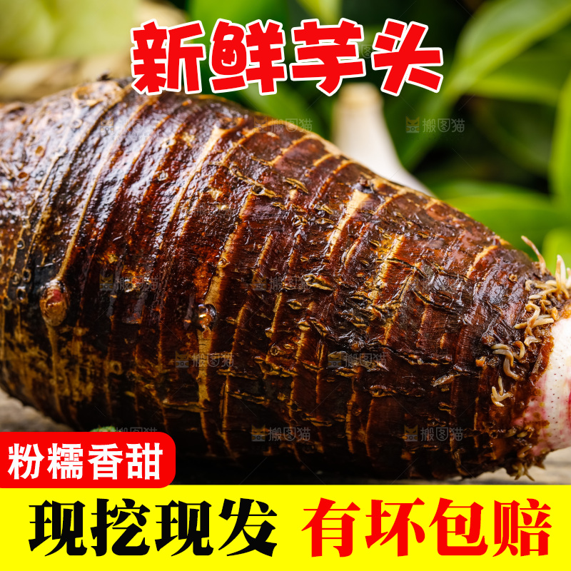 木底上放着广西荔浦芋头
