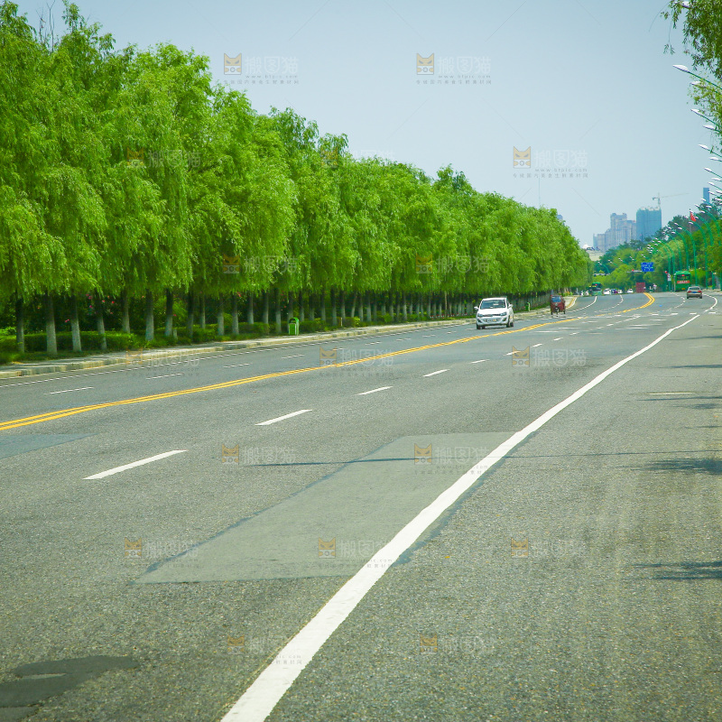 机动车道路