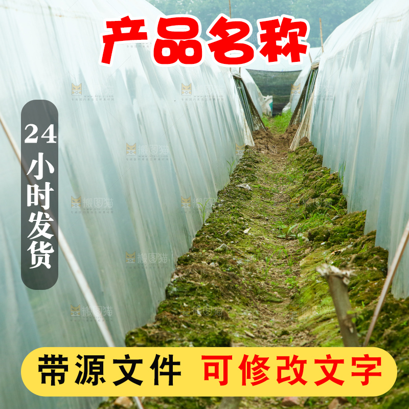 大棚种植