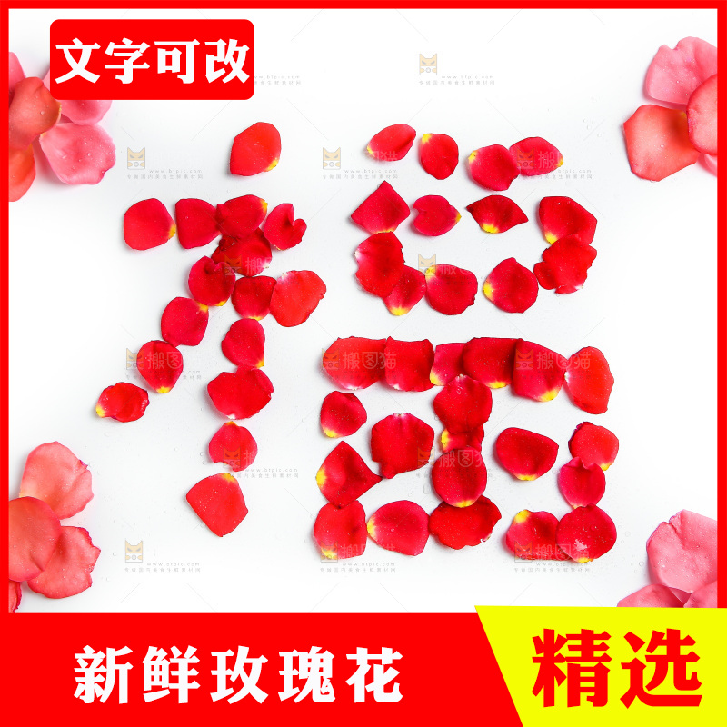白底上的玫瑰花瓣