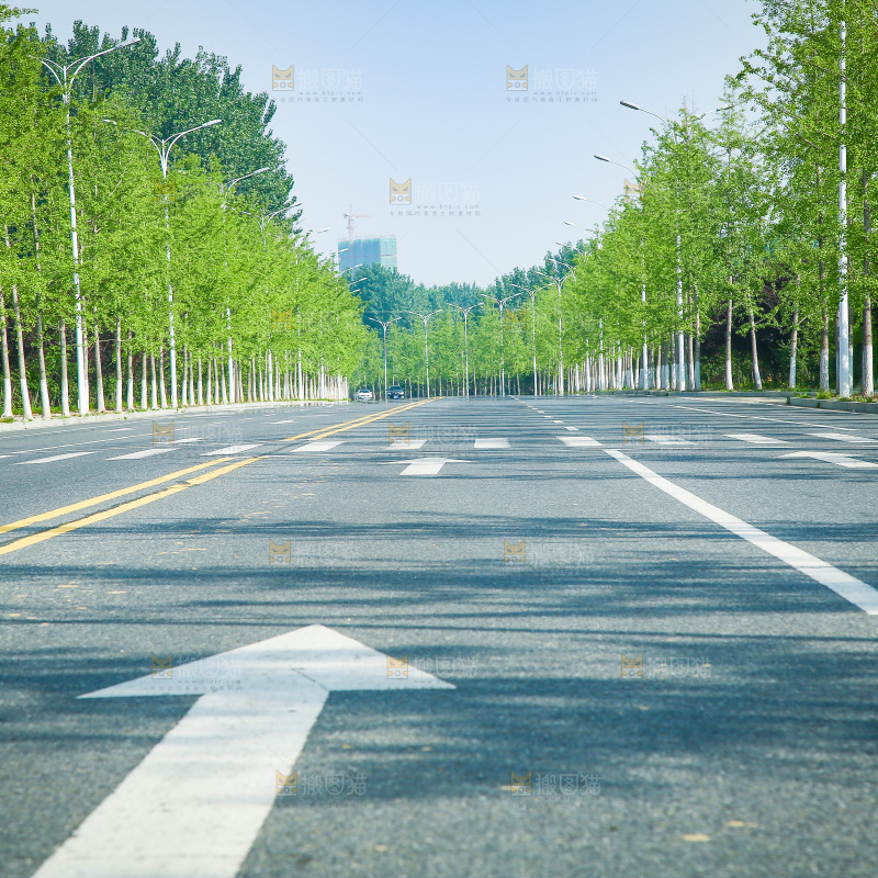 一条公路