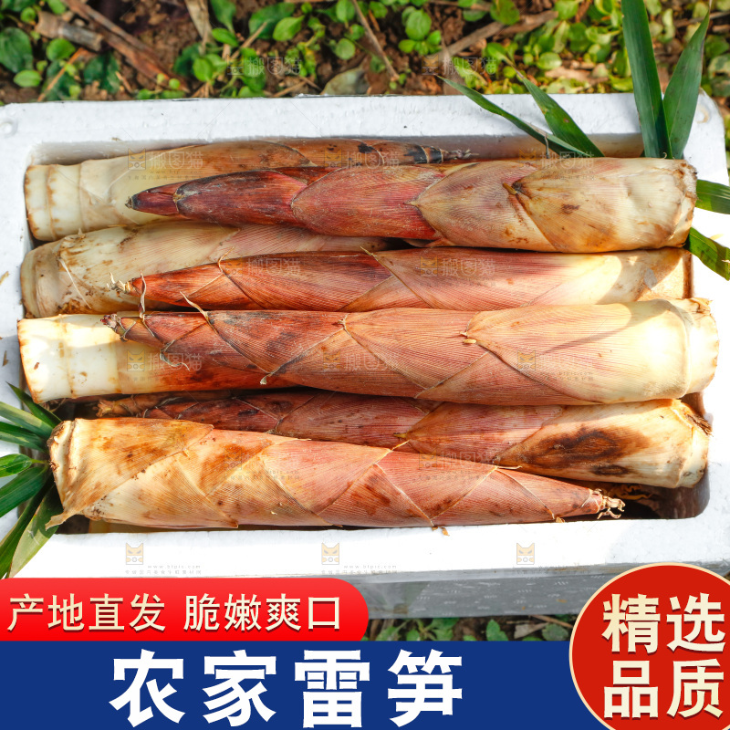 箱子里的雷笋