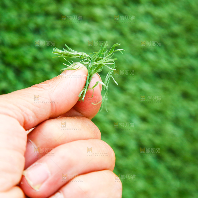 手里拿着绿色的草皮网
