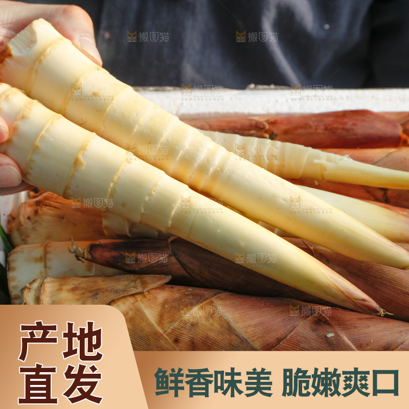 箱子里的雷笋