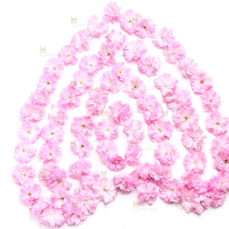 白底上的花朵