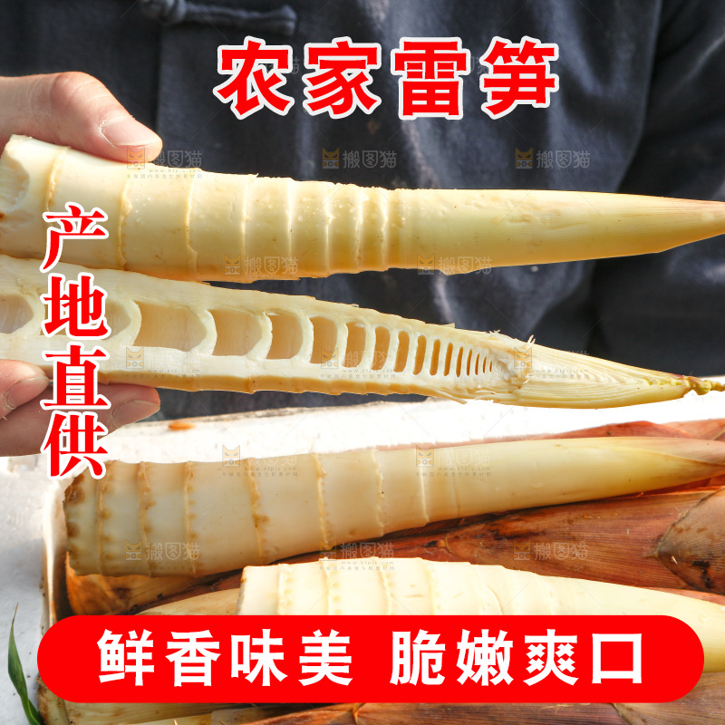 箱子里的雷笋
