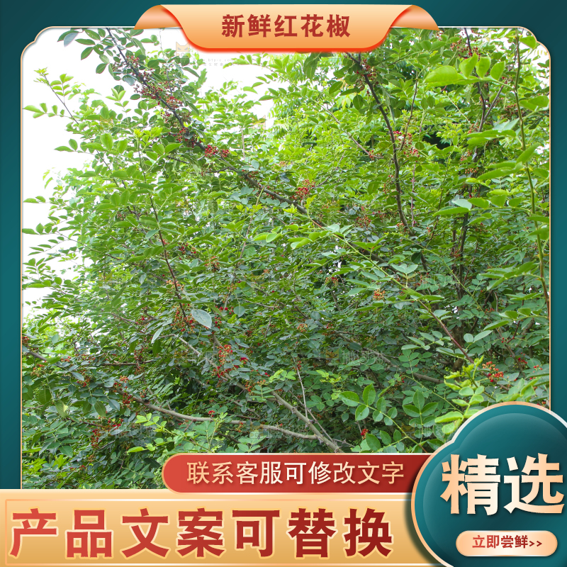 树上的花椒