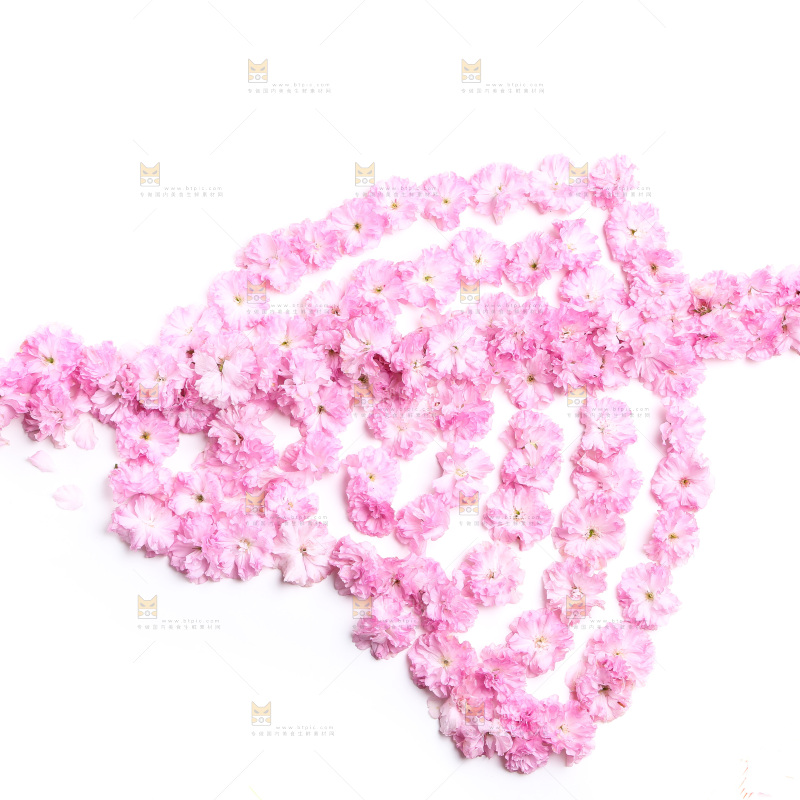 白底上的花朵