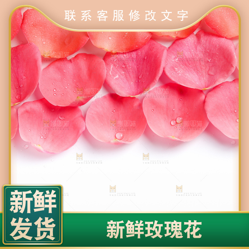 白底上的玫瑰花瓣