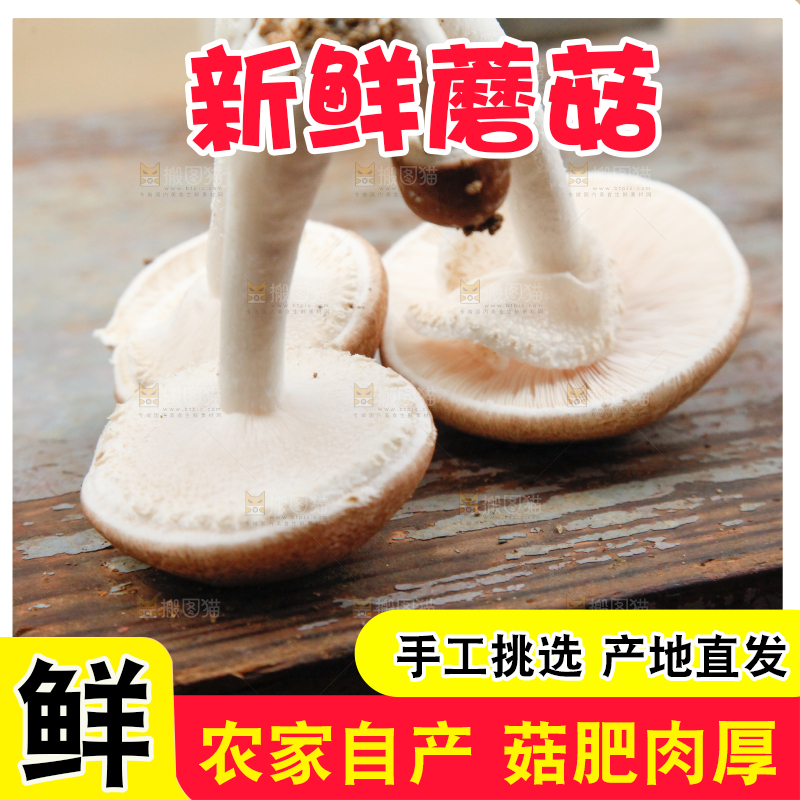 桌子上放着蘑菇
