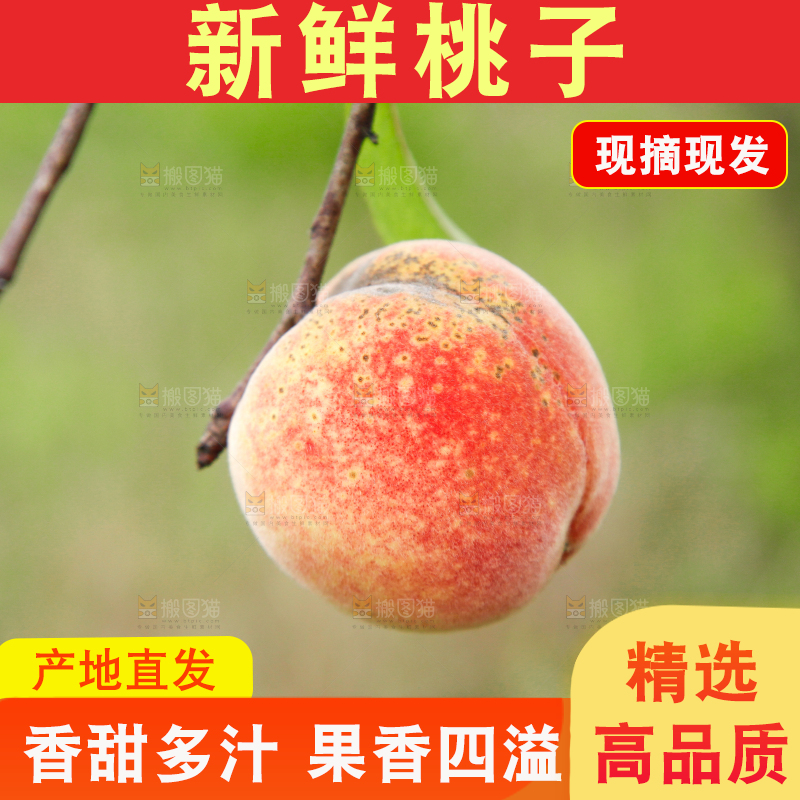 树上挂着桃子