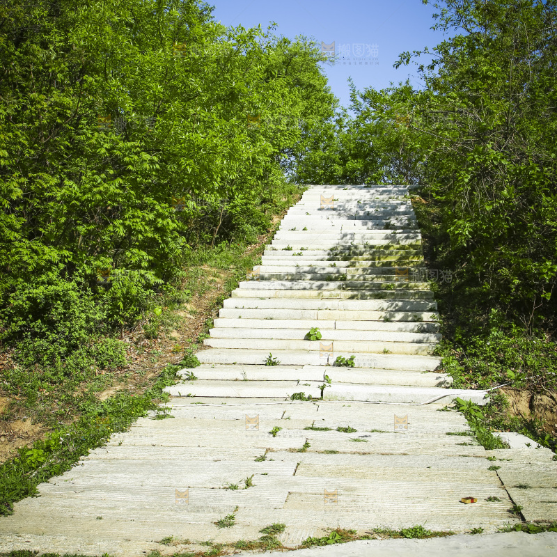 山间小路