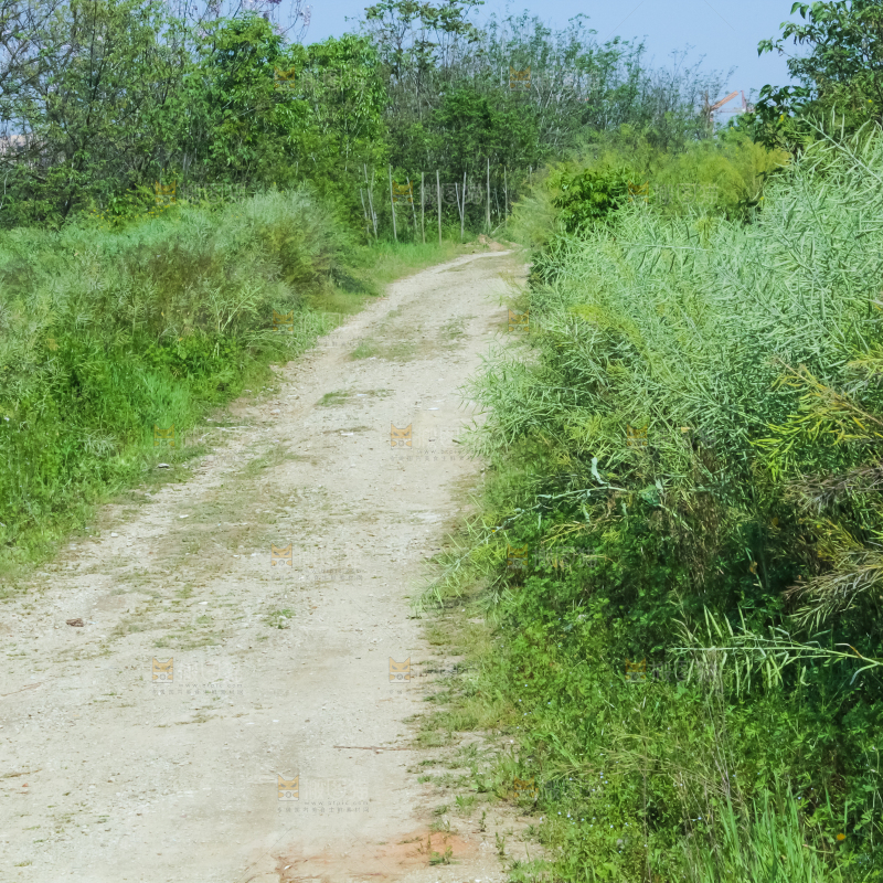 一条乡间小路