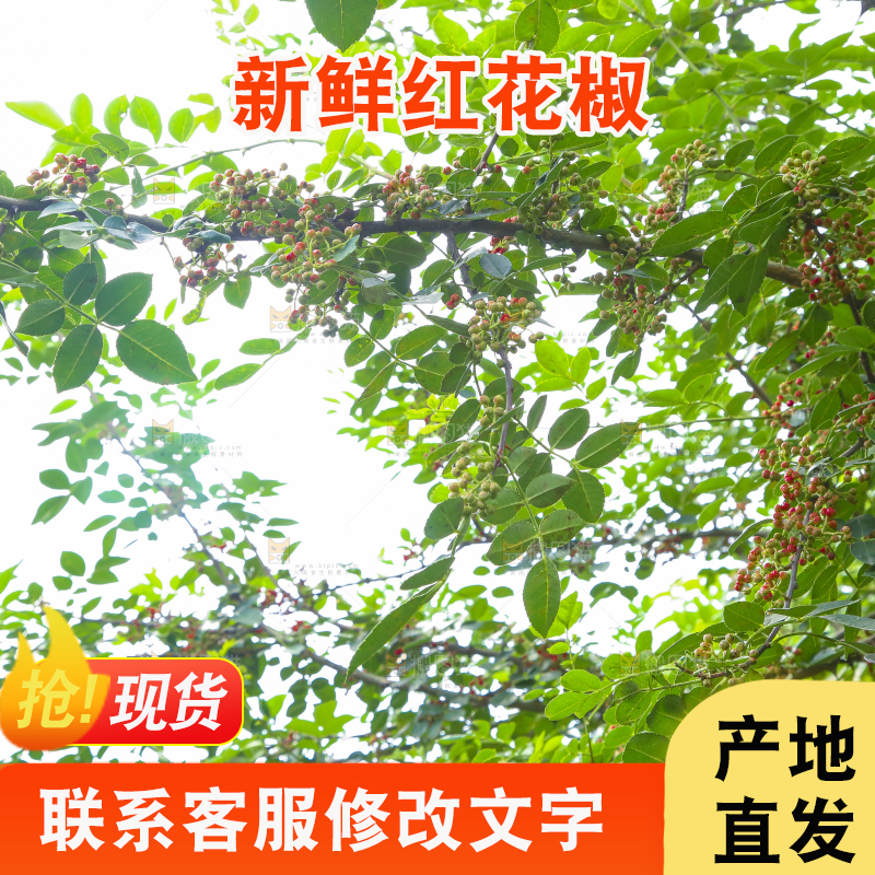 树上的花椒