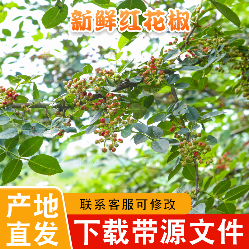 树上的花椒