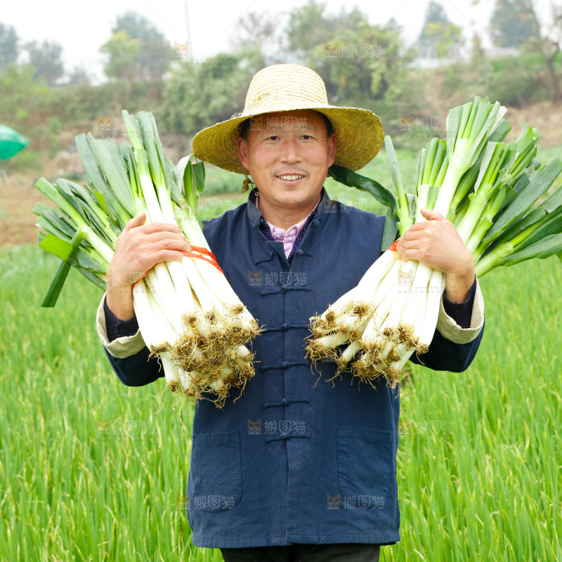 农民手里拿着大葱