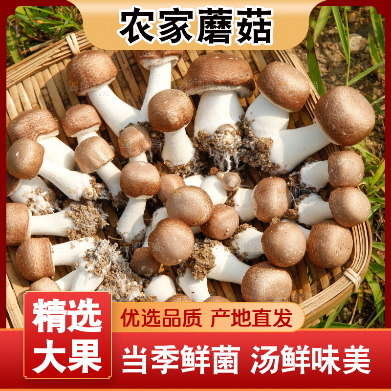 篮子里装着香菇