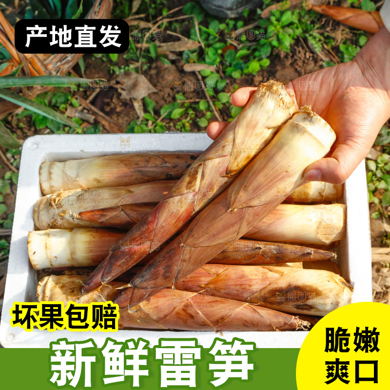 箱子里的雷笋