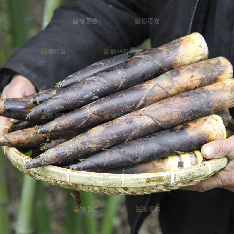 篮子里装着竹子