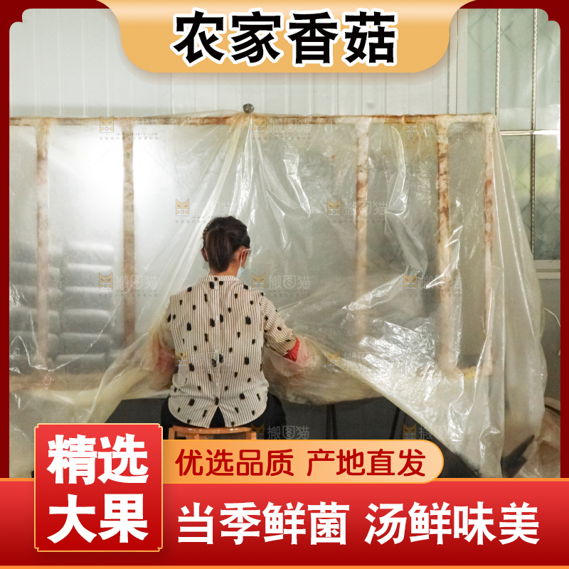 香菇种植管理