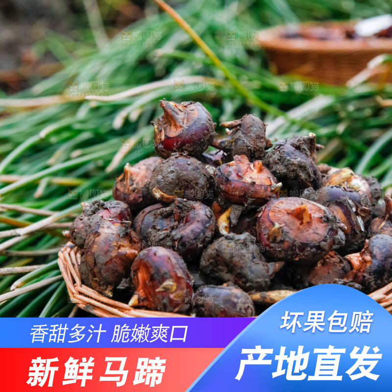 篮子里装着马蹄