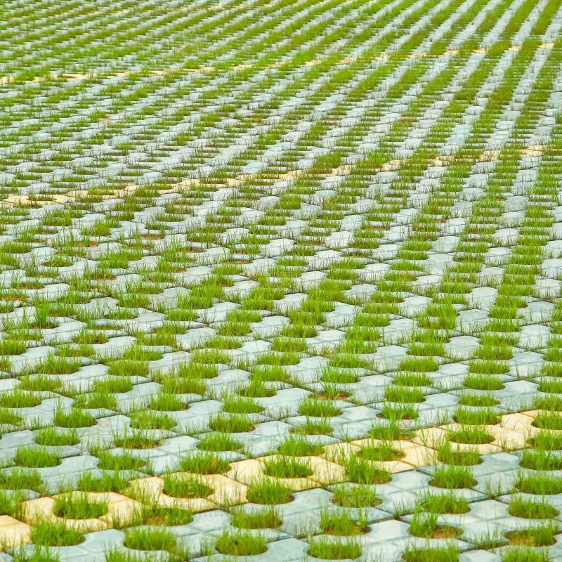 一块绿草地