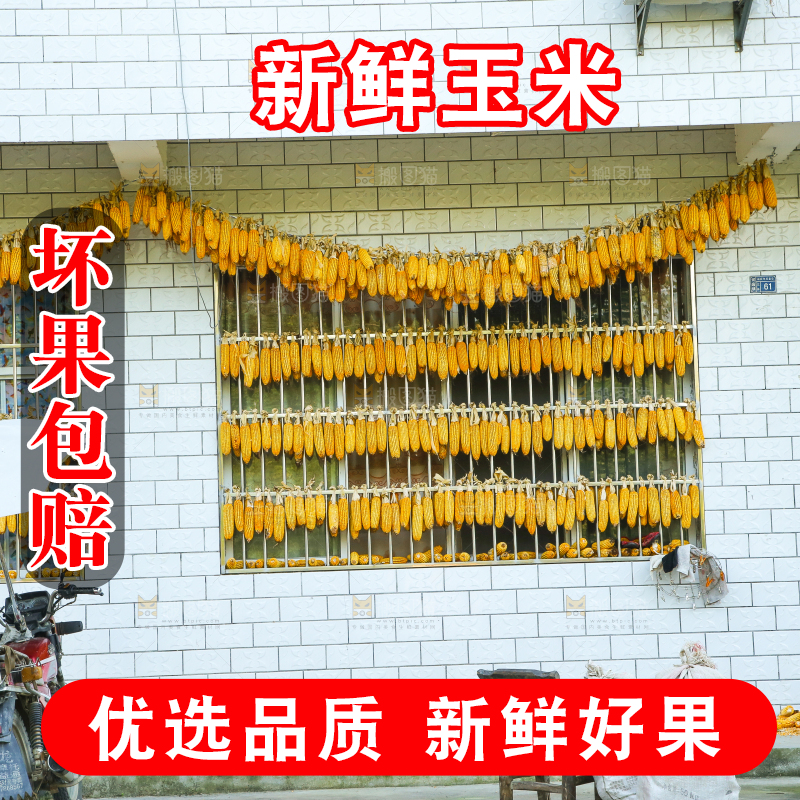 户外晒着玉米