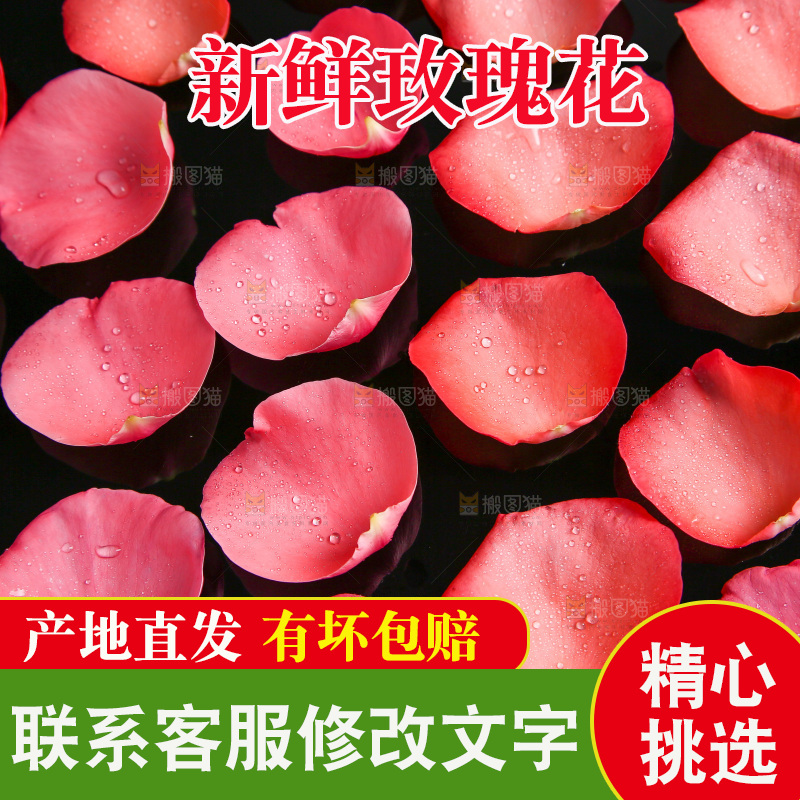 白底上的玫瑰花瓣