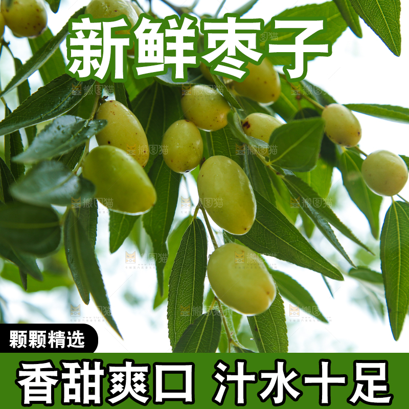树上的枣子
