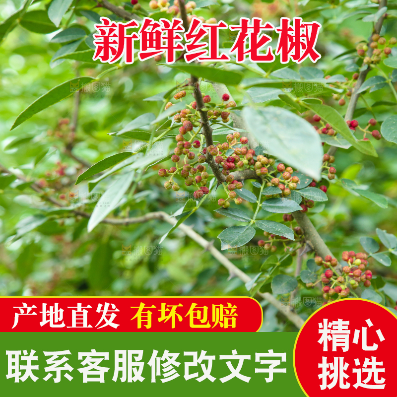 树上的花椒