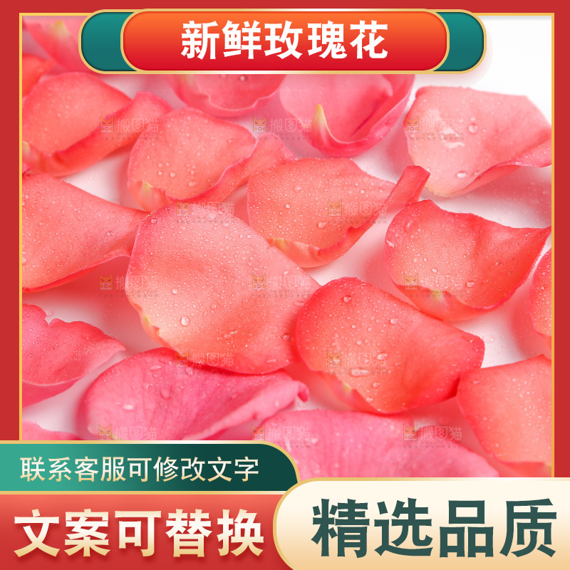 白底上的玫瑰花瓣