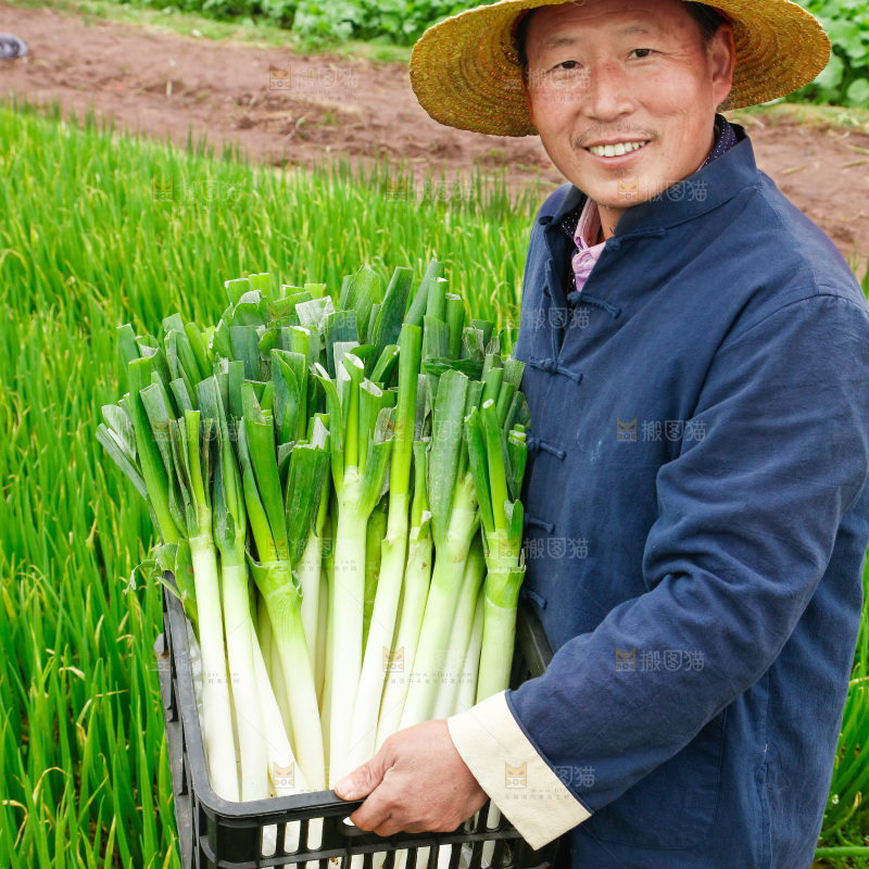 农民手里拿着大葱
