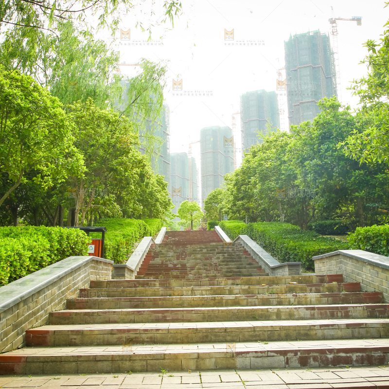 公园里的台阶