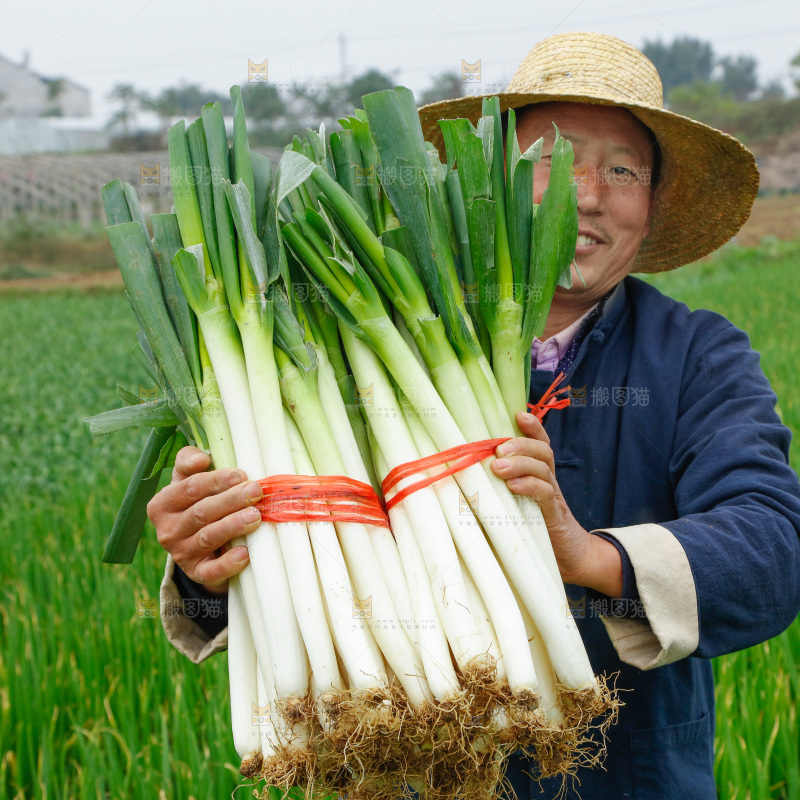 农民手里拿着大葱
