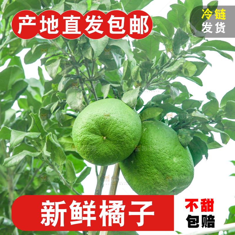 户外的青橘