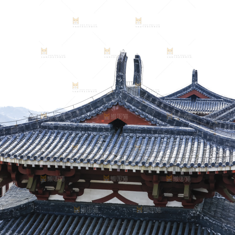 建筑的屋顶