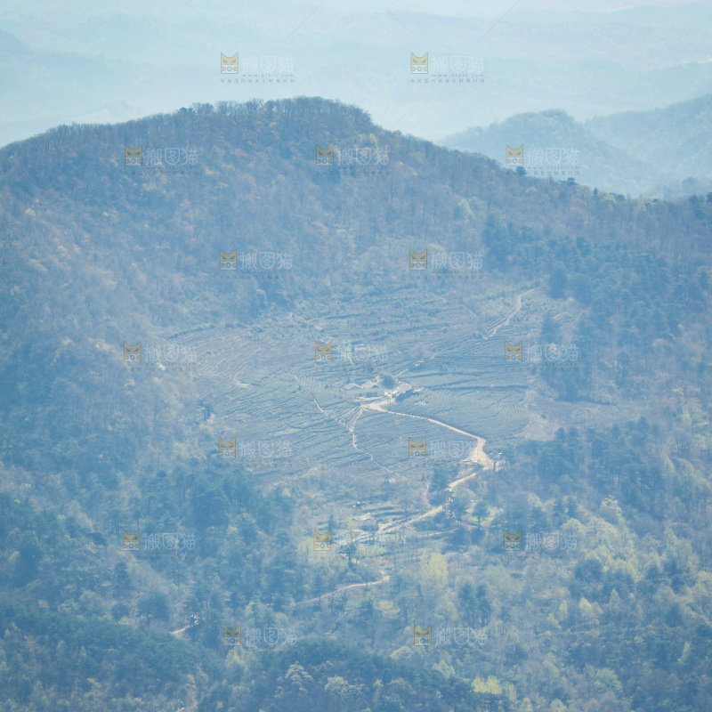 一片大山