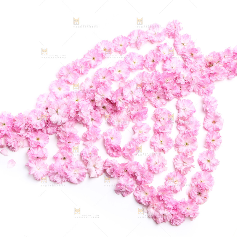 白底上的花朵