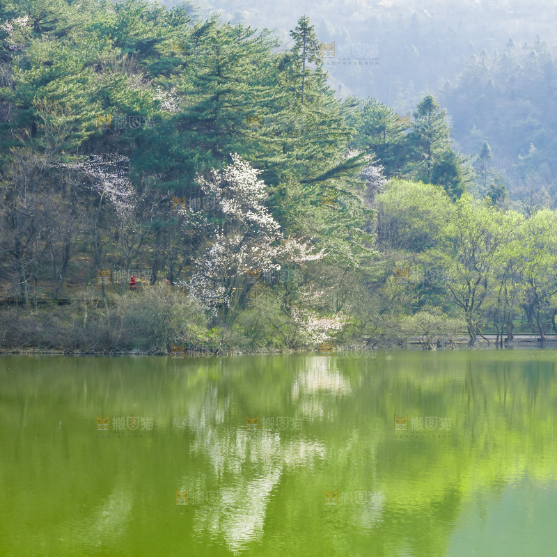 湖泊里的水