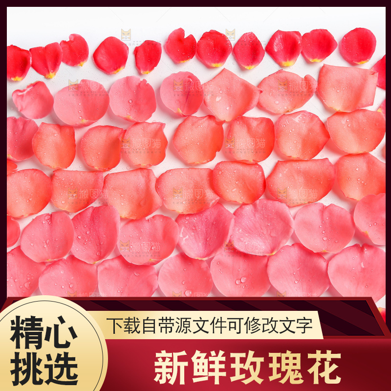 白底上的玫瑰花瓣