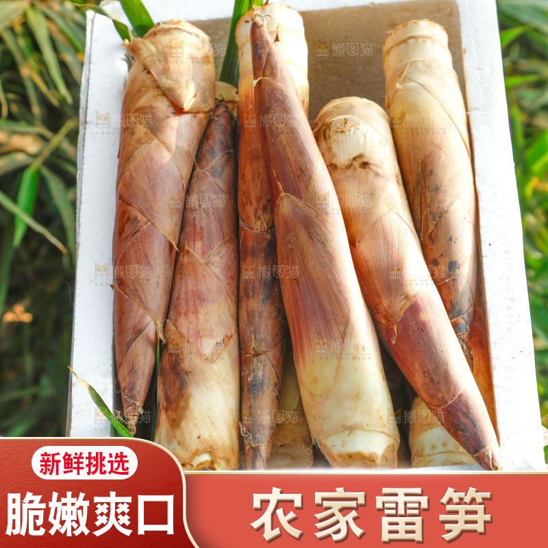 箱子里的雷笋