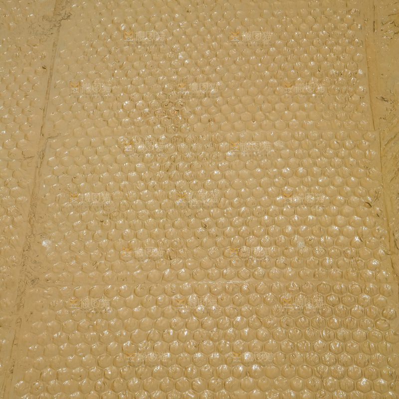 一片秧田