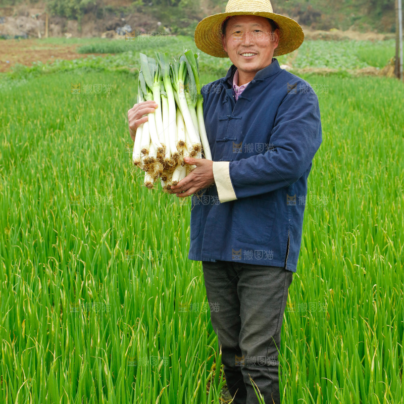 农民手里拿着大葱