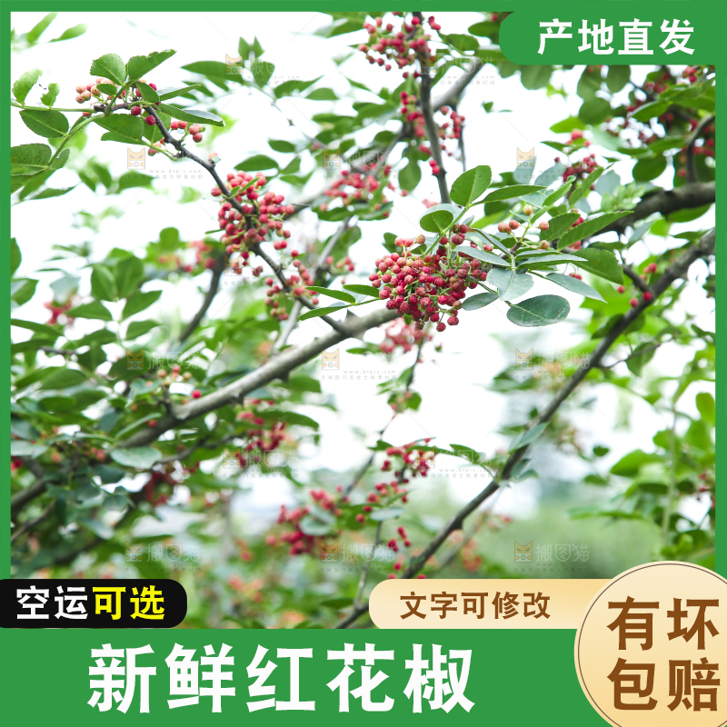 树上的花椒